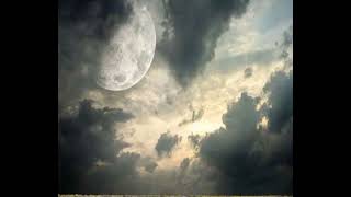 سورة الجاثيه لشيخ خالد بن فهد الجليل بصوته الشهير 👍🤍