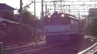 EF65-2096 3071レ貨物列車 三島-沼津間 西寺脇踏切