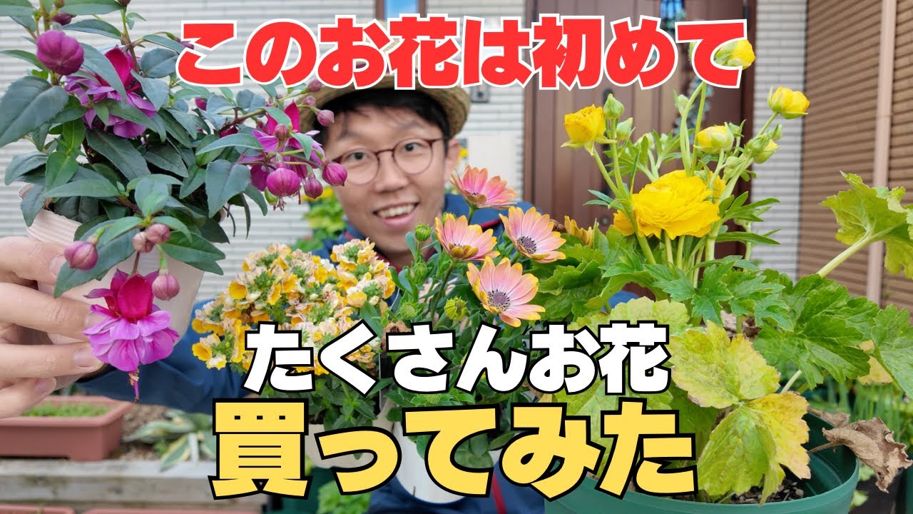 【美しい】好きな花をたくさん買ってみた　フクシアを初めてお迎え