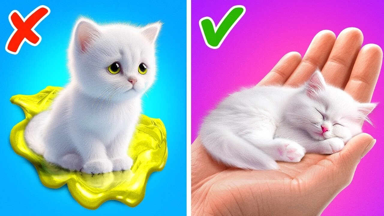 Cuida de tu Gatito ❤️😊 Trucos y Transformación de Gatos por Coolala