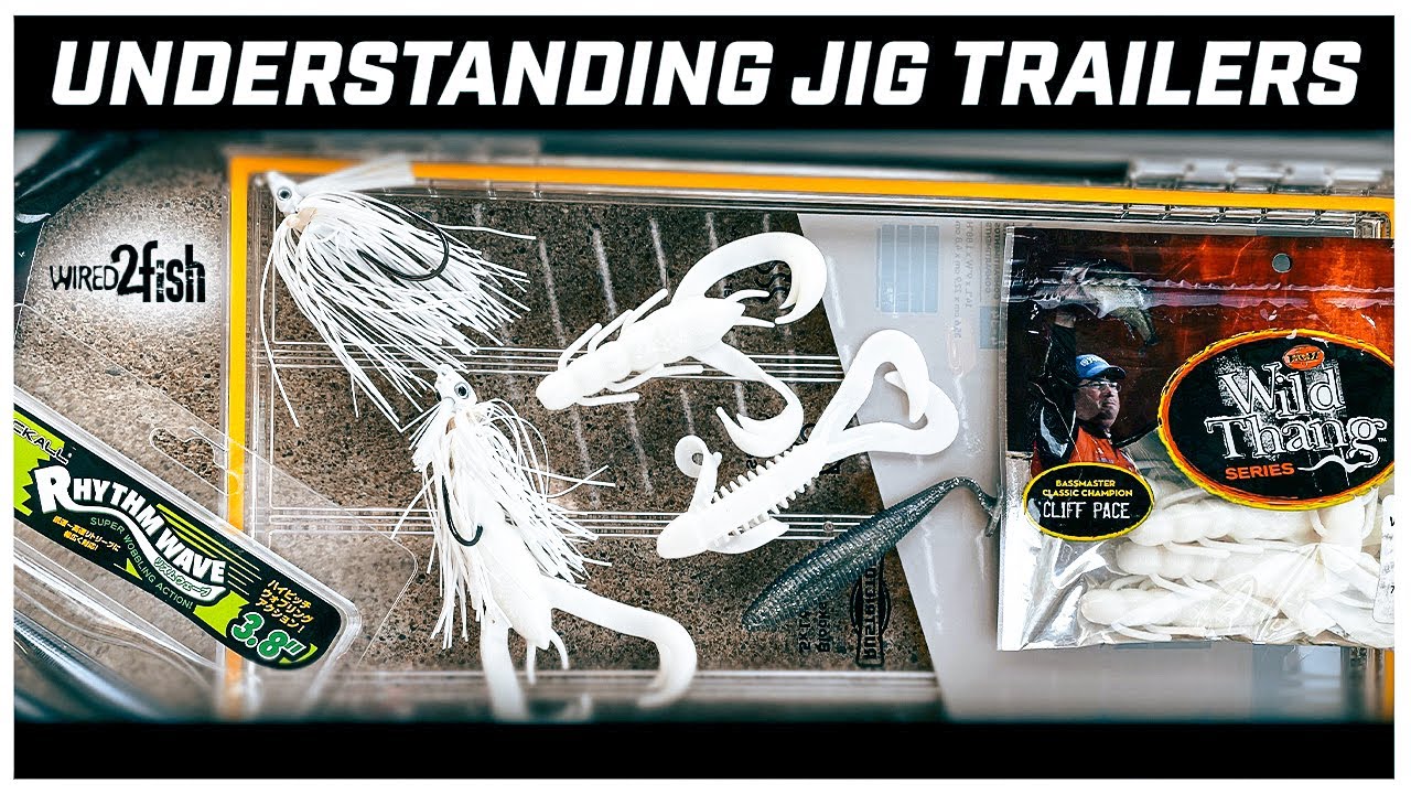 Underwater Insight: Selecting Jig Trailers for Bass Fishing (with
