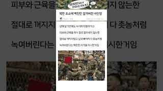 북한 초소에 백린탄 갈겨버린 사단장 #군대 #신병 #육군 #특전사 #폐급 #강철부대 #육대전 #릴스 #shorts