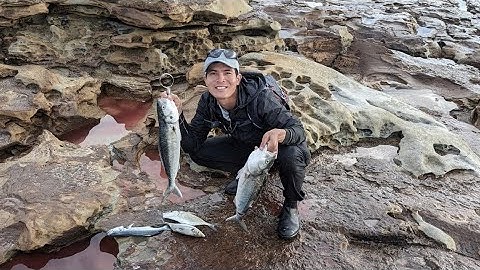 Câu cá , cắm trại ở Úc | Tập 1: Cá hồi Úc siêu to khổng lồ | Fishing video - Fishing channel 🎣