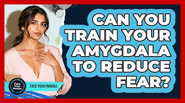 Can You Train Your Amygdala To Reduce Fear? - Face Your Phobias