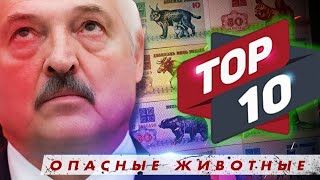 Самые опасные животные Беларуси / Личный зоопарк Лукашенко