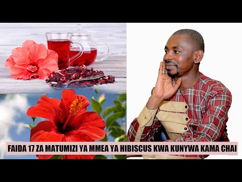 FAIDA 17 ZA MATUMIZI YA MMEA YA HIBISCUS KWA KUNYWA KAMA CHAI NA DOCTER DJAFAR KASSIM