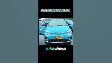 nhà nước ngưng chuyển đổi xe xăng qua điện #viralvideo #memes #cat #funny #viral #trending #cute