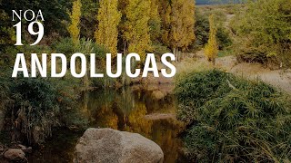 #19 NOA l ANDOLUCAS l LA RIOJA l Cicloturismo