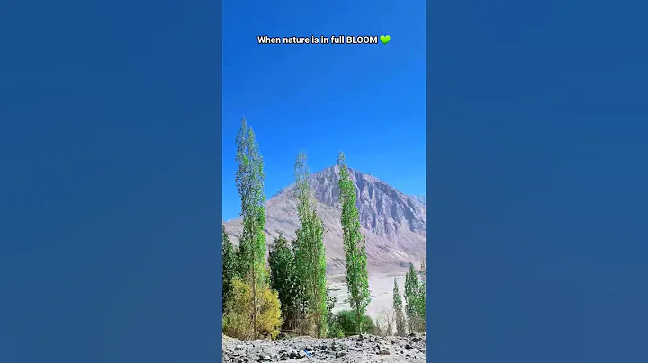 Nature's Beauty 💚 || Mountains || #travel #mountains #nature #sukoon #yt thumbnail