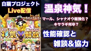 白猫プロジェクト 温泉神気 性能確認とか雑談とかpart 1 ライブ配信 Youtube