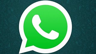 Всё о СТАТУСЕ в WhatsApp | Как создать, переслать и удалить статус | Как отвечать на статусы друзей screenshot 1