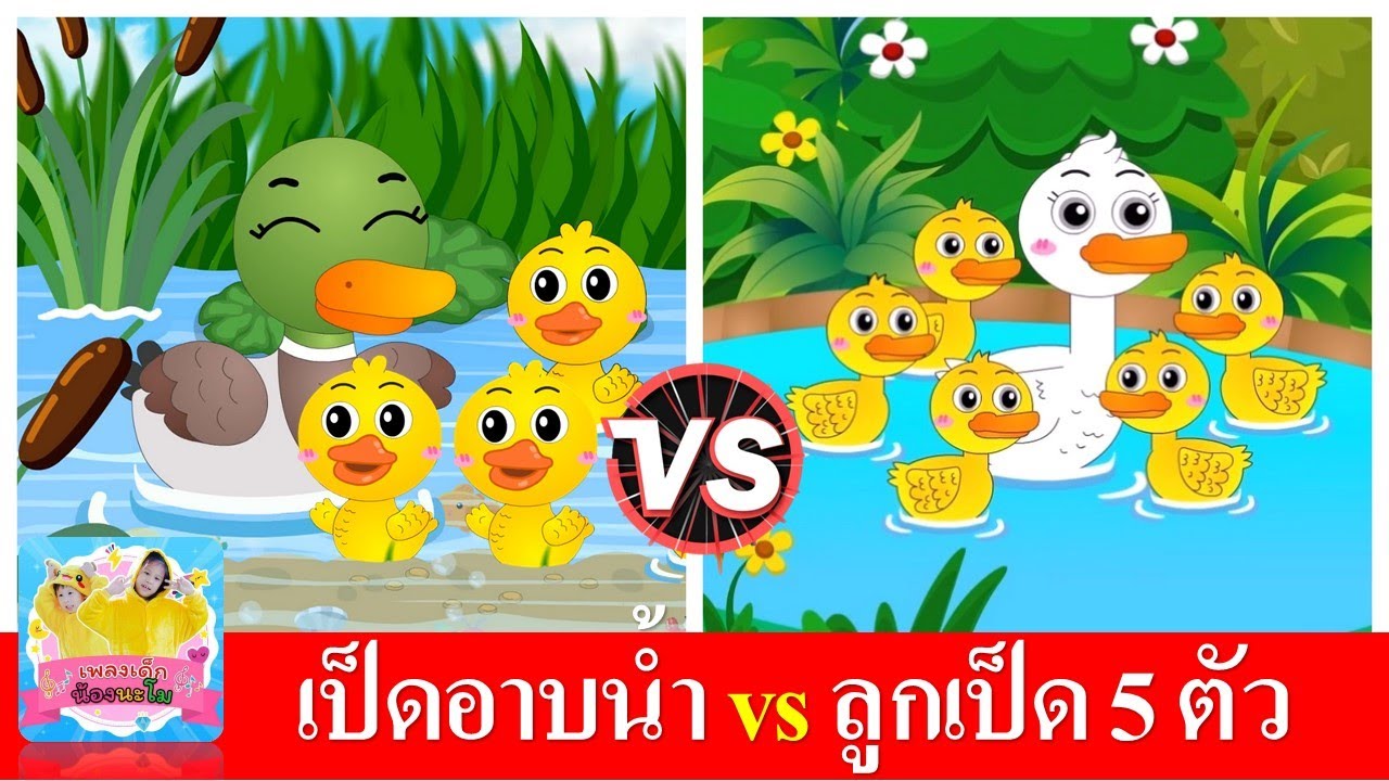 เป็ดอาบน้ำ vs ลูกเป็ด 5 ตัว