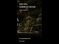 Zen Spa Ambient Music | Calm Reset #Shorts