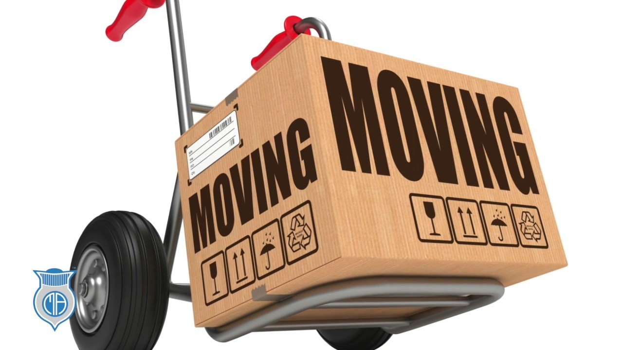 movers company near me