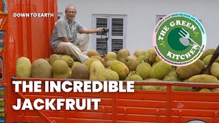 What is the true culinary potential of Jackfruit? | The Green Kitchen