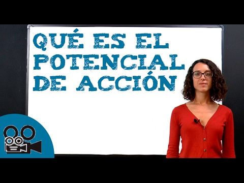 Video: ¿Se considera un potencial graduado todo o nada?