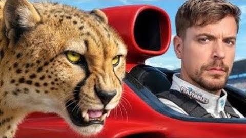 World Fastest car vs cheetah mrbeast ! Mrbeast Bangla video @MrBeast