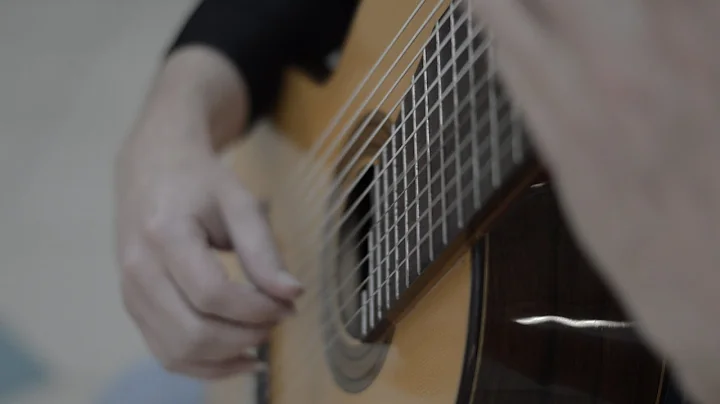 J.S.Bach - Chaconne - 11 string guitar
