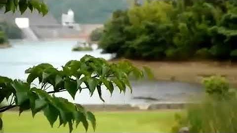 روائع الشيخ عنتر سعيد مسلم 💚 ماتيسر من سورة الزمر 💚  قراءة تقشعر لها الابدان 1