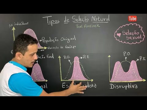 Vídeo: O que é um gráfico de seleção direcional?