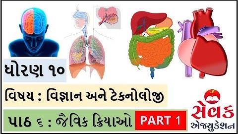 NCERT STD 10 || વિજ્ઞાન અને ટેકનોલોજી || પાઠ ૬ || જૈવિક ક્રિયાઓ || jaivik kriyao || ભાગ ૧  ||SCIENCE
