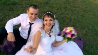 Свадьба : Анатолий и Елена - клип