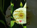 Algérie اكسبلور حكايات واقعية العباسية حكايات تيك توك الجمعة مبا قصص واقعية قصة ترند لايك Algérie اكسبلور حكايات واقعية العباسية حكايات تيك توك الجمعة مبا قصص واقعية قصة ترند لايك