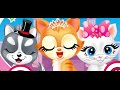 Pets beauty salon full gameplay walkthrough