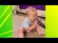 Try not to laugh  1001 funny reaction baby  to the vacuum cleaner