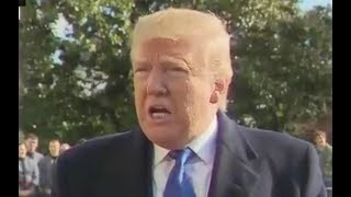 Trump humiliates himself pretending not to know his own official