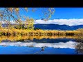 🐑 Crisp Morning Calm: Lake Mirror &amp; Autumn Farm Life in 4K #naturetranquility #soothingsounds #relax