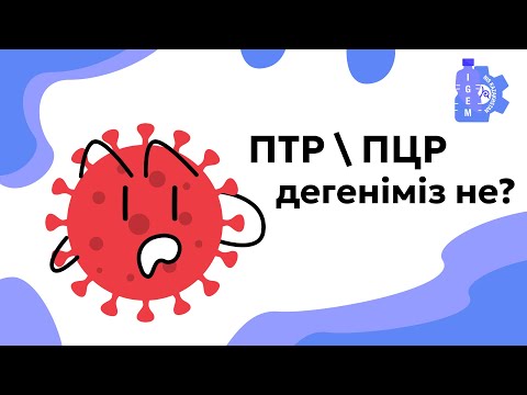 Бейне: ПТР циклі дегеніміз не?