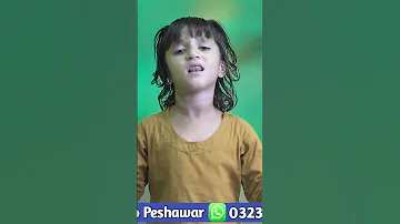 Nabi Sardara Zama New Pashto Naat Sharif Duet Islamicmusic 