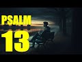  13          