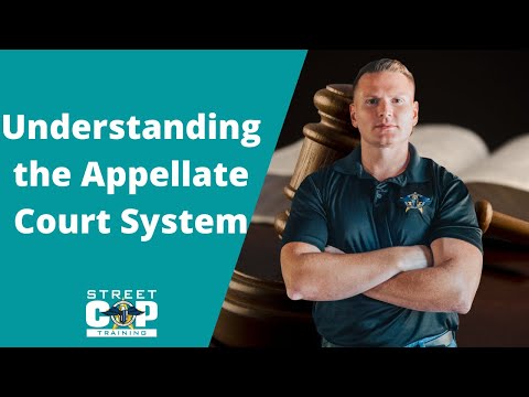 Understanding the Appellate Court System