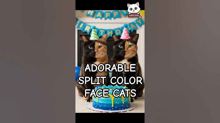 Video 11390391: russian blue cat meowing, adorable russian blue cat, cat golden meow, cat's meow toy, cat colors