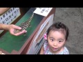 小さなワニ触ったよ