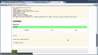 Developer Portal in the IBM API Management Beta 1