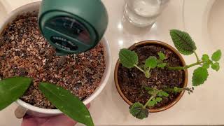 3 Way Soil Meter For Plants Partial Review