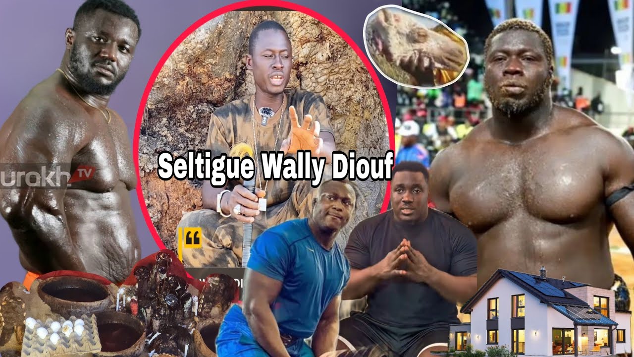 Selltige Wally Diouf wakn n'a Combat Balla Geye vs Franc Modou Lo vs Sa Thies Bilahi lou doy war ..