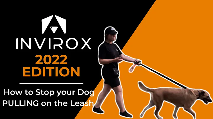 How To Stop Your Dog PULLING On The Leash - E COLLAR TRAINING