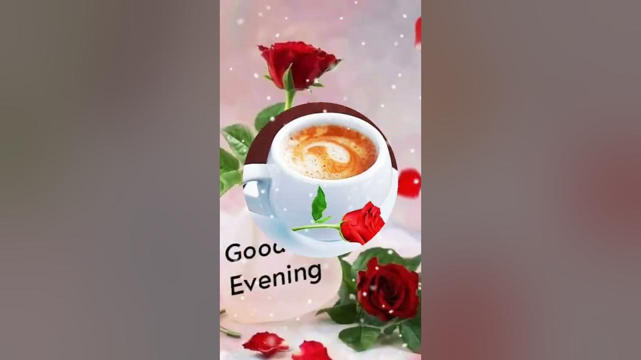 GOOD EVENING video