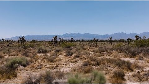 Thumbnail of Josh Ross - Mama, I'm Coming Home (Ozzy Osbourne Tribute)