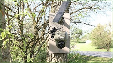 #235:   Reolink KEEN Ranger PT Camouflage Security Camera Unboxing & Installation