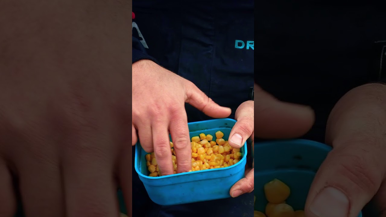 Making Sweet Corn Extra Great In Winter Using This?🎣