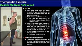 Lumbar Paraspinals | Strengthening Exercises 💪