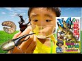 【図鑑】図鑑GET！昆虫を読んで、カブトムシ&クワガタに会いに行って来たよ！《おーいじゅたろうくんコラボ》