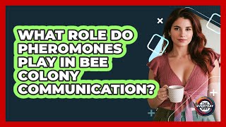 What Role Do Pheromones Play In Bee Colony Communication?