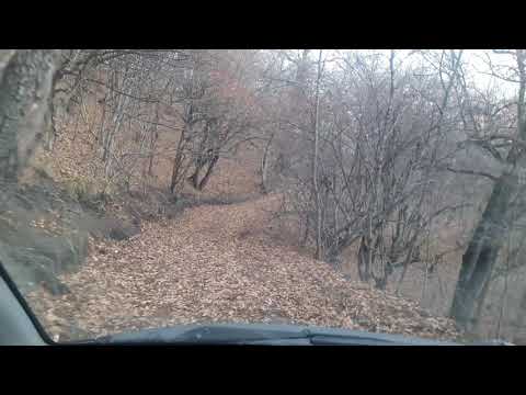 ფიტარეთი