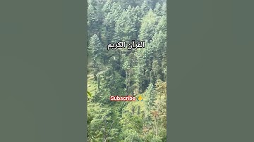 #اكسبلور #المصحف #القرآن_الكريم #اسلام_صبحي #اسلام #تلاوة_خاشعة #راحة_نفسية #السعودية #ماشاءالله